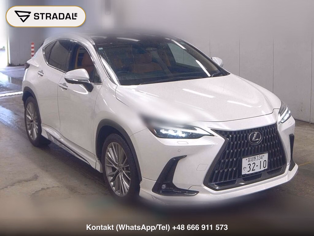 LEXUS NX NX250 VERSION L 2023, aukcja z Japonii, zdjęcie 1
