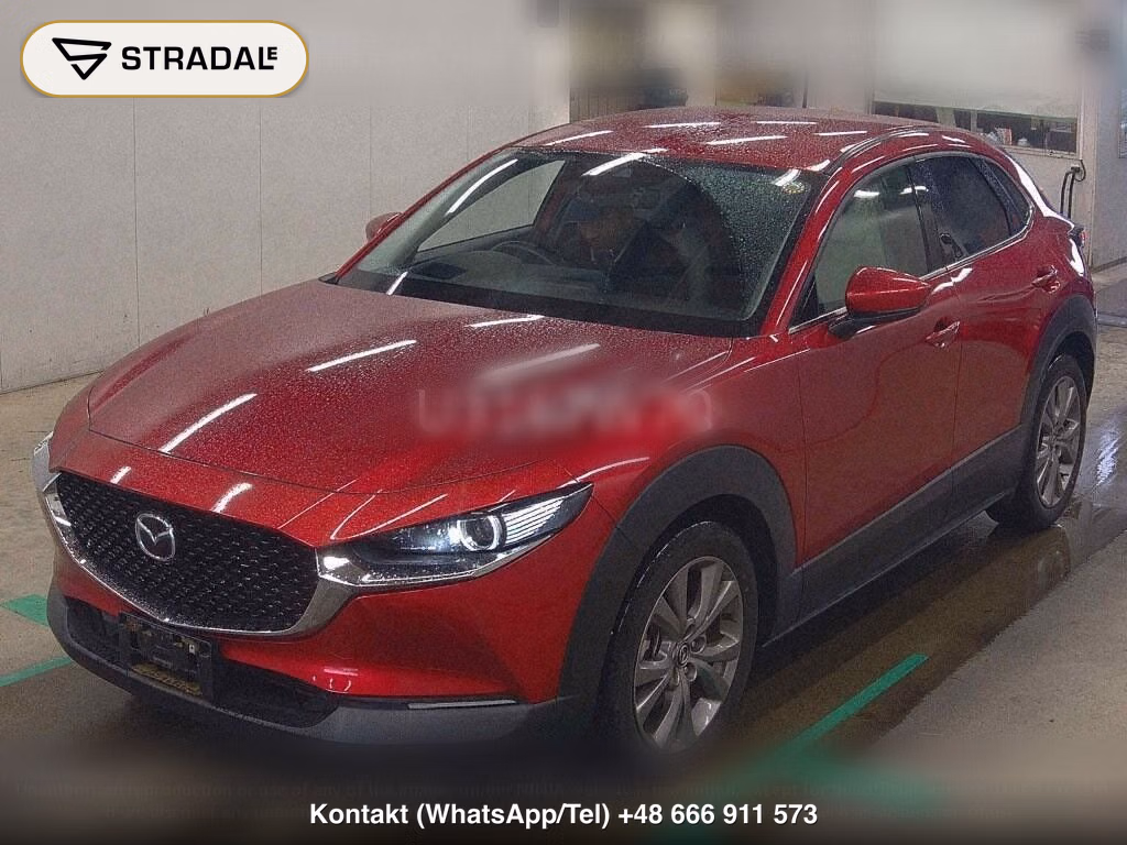MAZDA CX-30 4WD 20S L PACKAGE, miniaturka 5