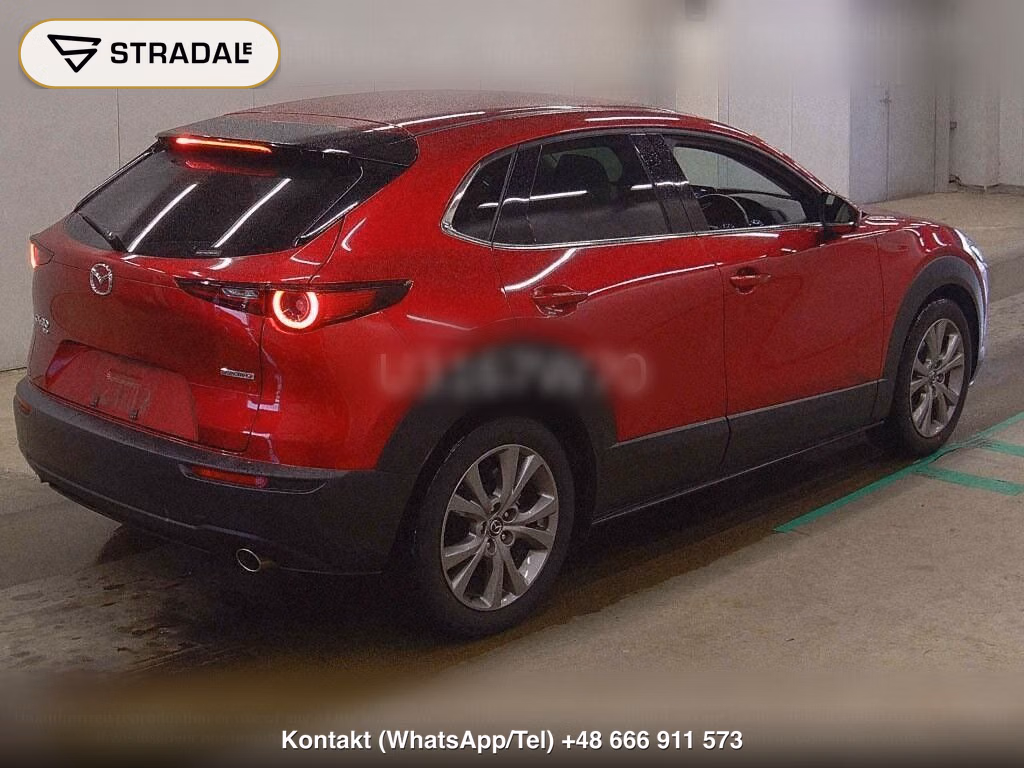 MAZDA CX-30 4WD 20S L PACKAGE, miniaturka 6