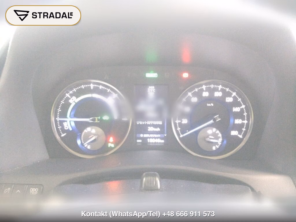 TOYOTA ALPHARD HYBRID 4WD G, miniaturka 7