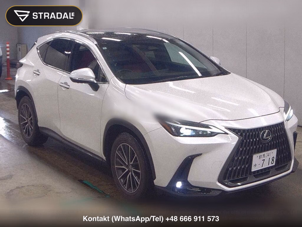 LEXUS NX NX250 VERSION L, miniaturka 2