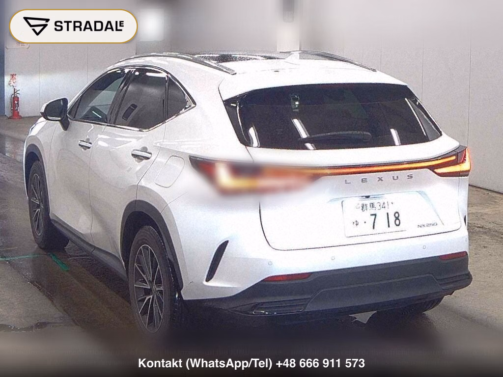 LEXUS NX NX250 VERSION L, miniaturka 3