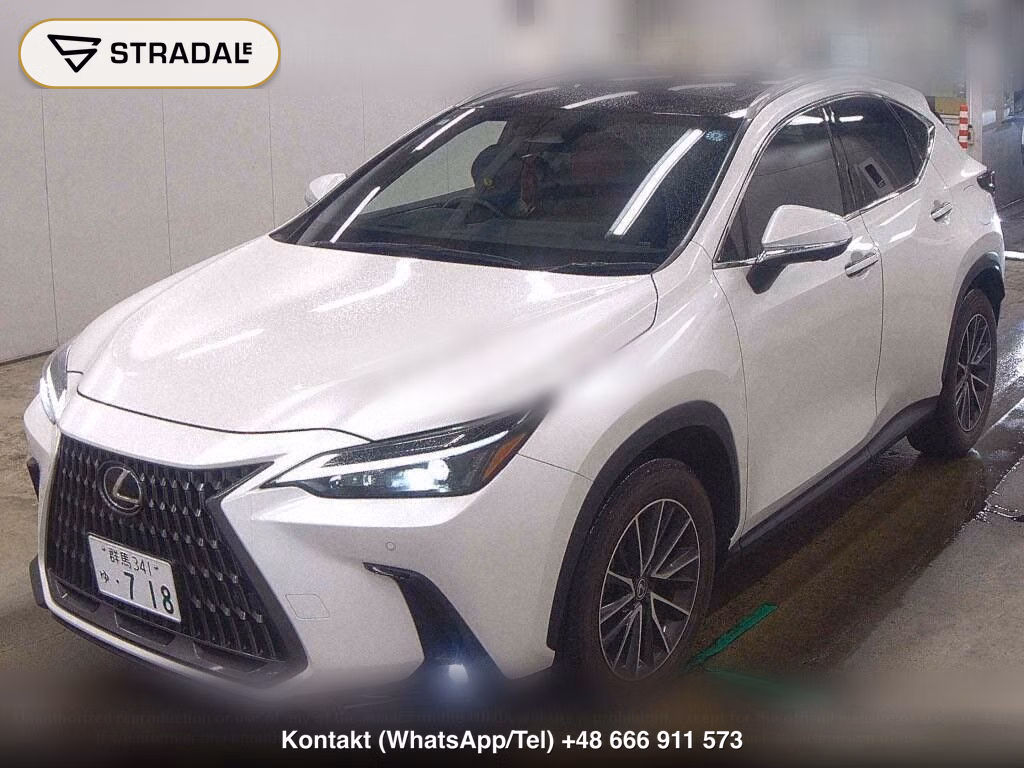 LEXUS NX NX250 VERSION L, miniaturka 5