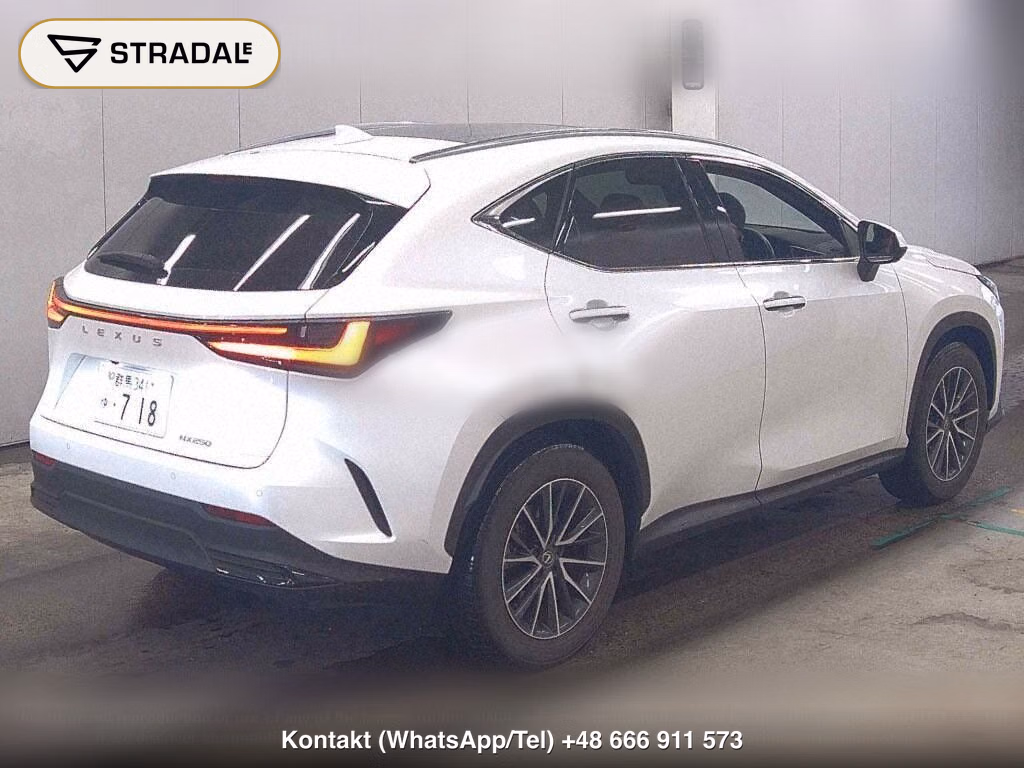 LEXUS NX NX250 VERSION L, miniaturka 6