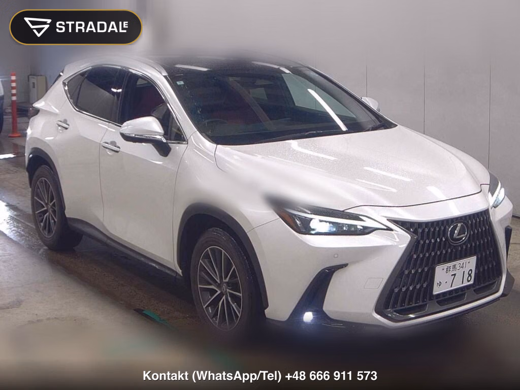 LEXUS NX NX250 VERSION L 2024, aukcja z Japonii, zdjęcie 1