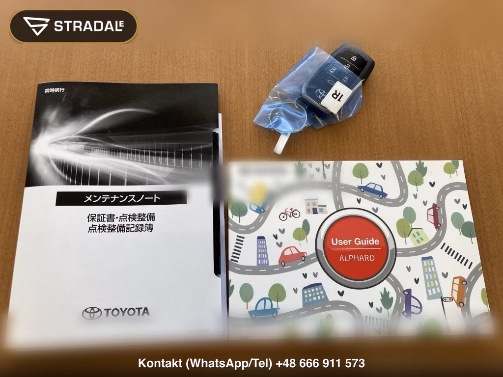 TOYOTA ALPHARD Z, miniaturka 12