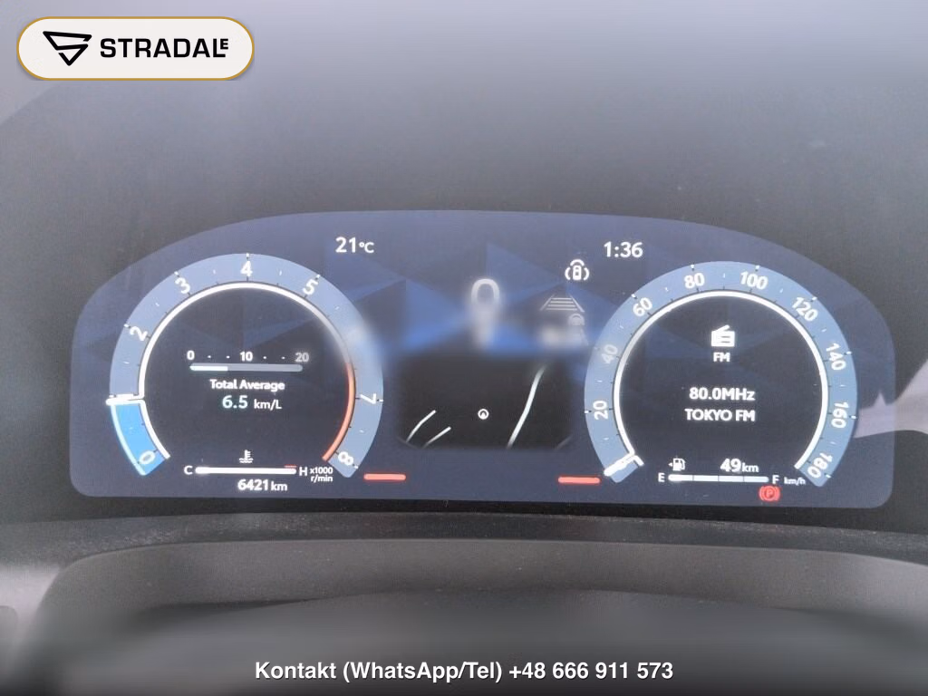 TOYOTA ALPHARD Z, miniaturka 7