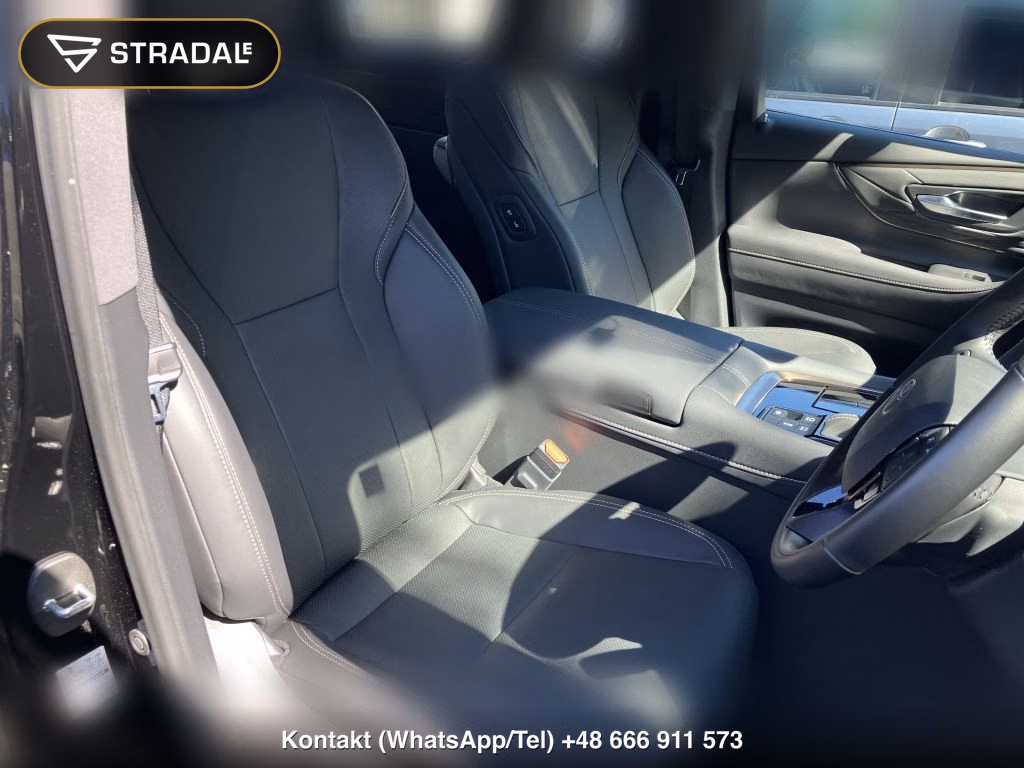 TOYOTA ALPHARD Z, miniaturka 10