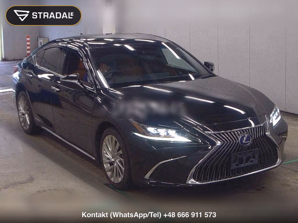 LEXUS ES ES300H VERSION L, miniaturka 2