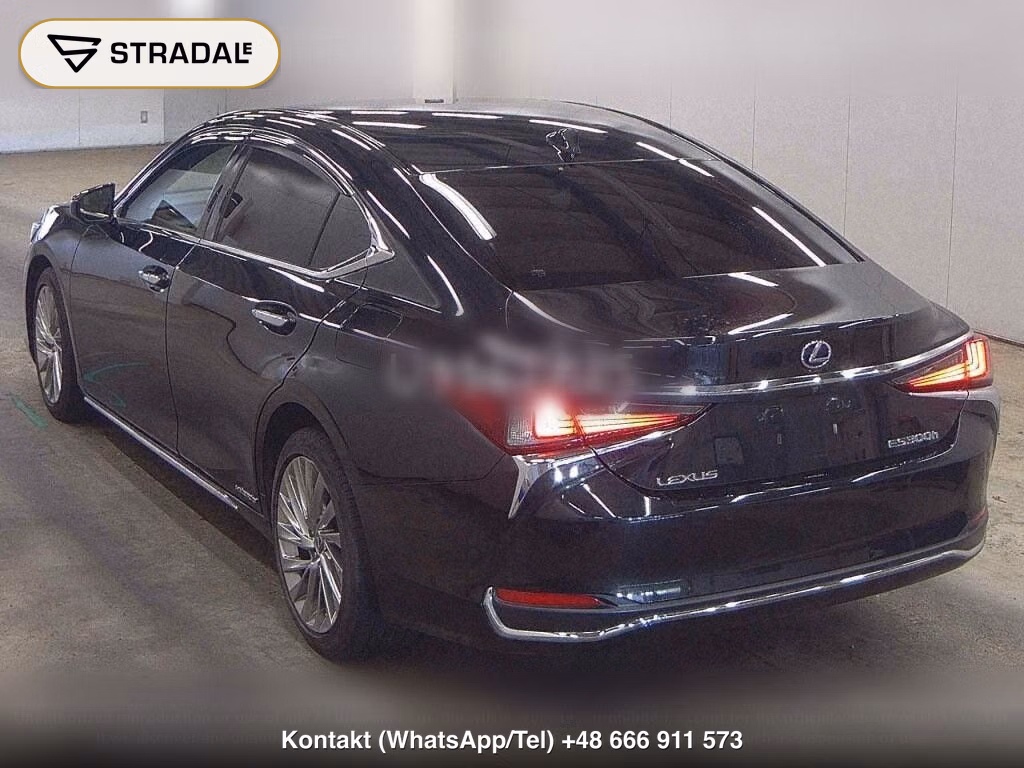 LEXUS ES ES300H VERSION L, miniaturka 3