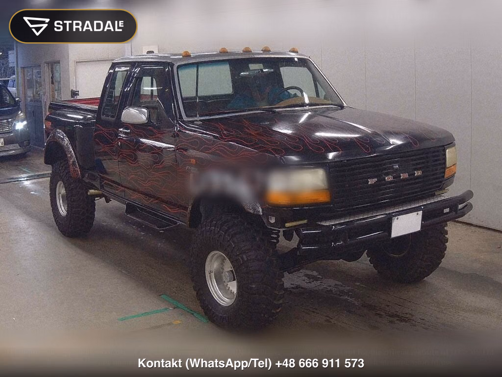 FORD F-150 2D 4WD, miniaturka 2
