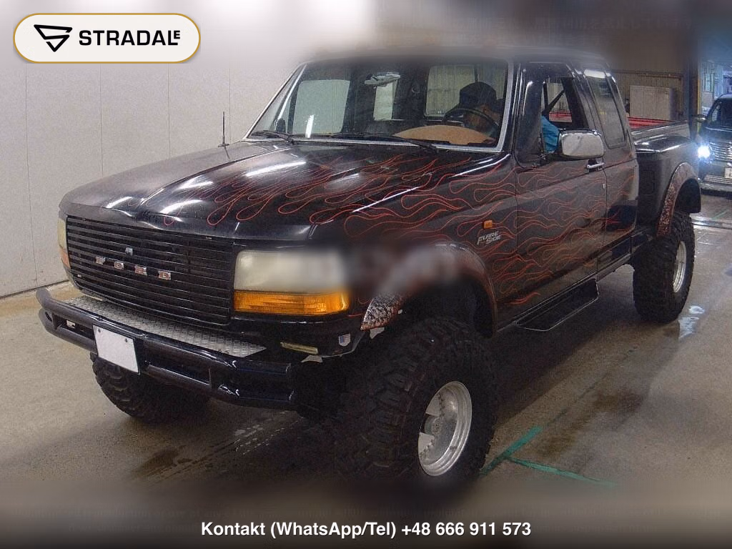 FORD F-150 2D 4WD, miniaturka 5