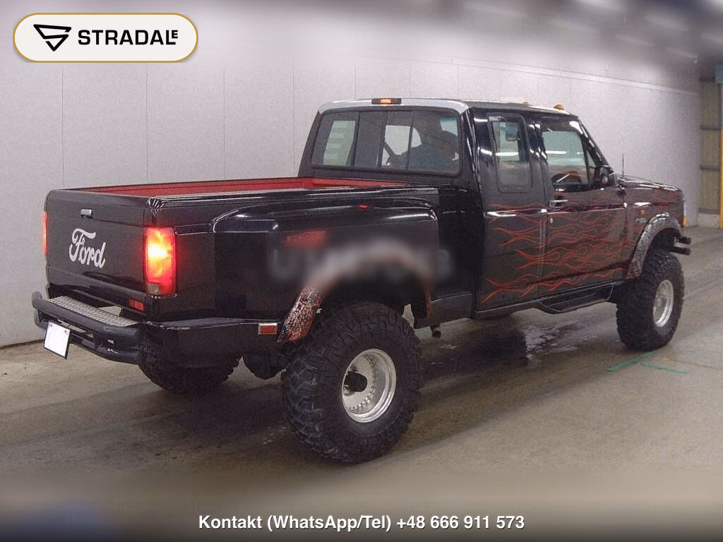 FORD F-150 2D 4WD, miniaturka 6