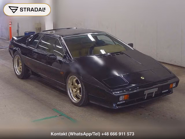 LOTUS ESPRIT OTHERS 1989, samochód z aukcji Japonii