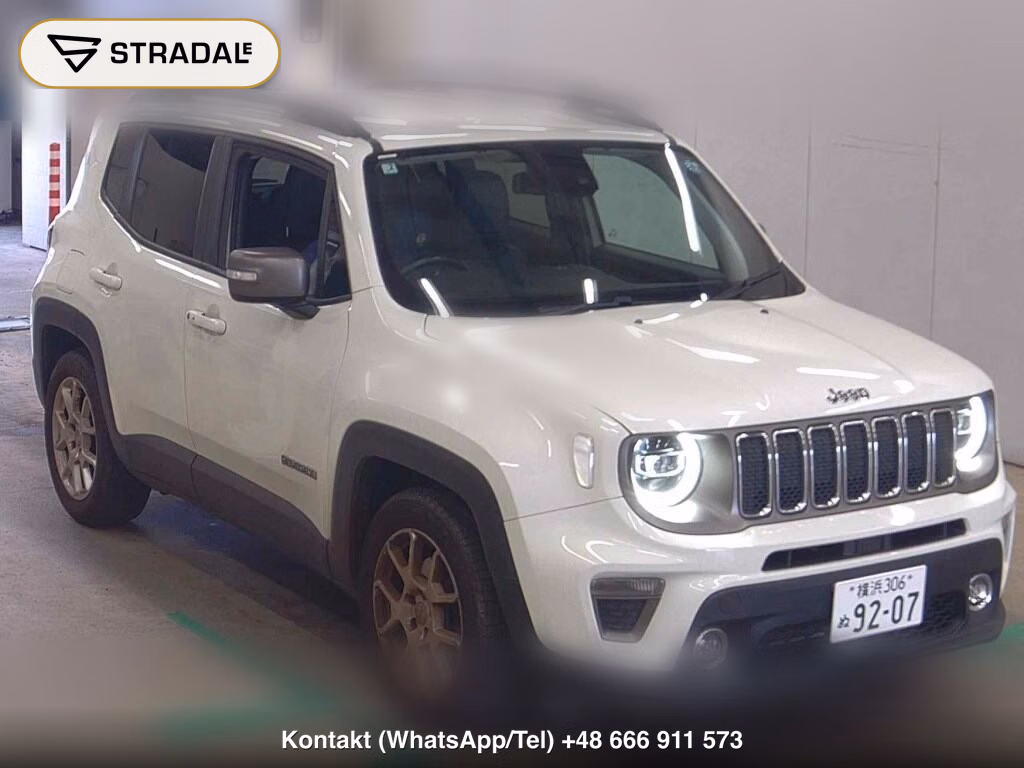 CHRYSLER JEEP JEEP RENEGADE LIMITED 2019, aukcja z Japonii, zdjęcie 1