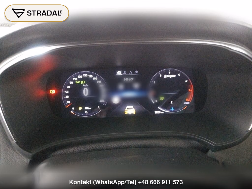 RENAULT MEGANE 5D RS RENAULT SPORT ULTIME MT, miniaturka 7