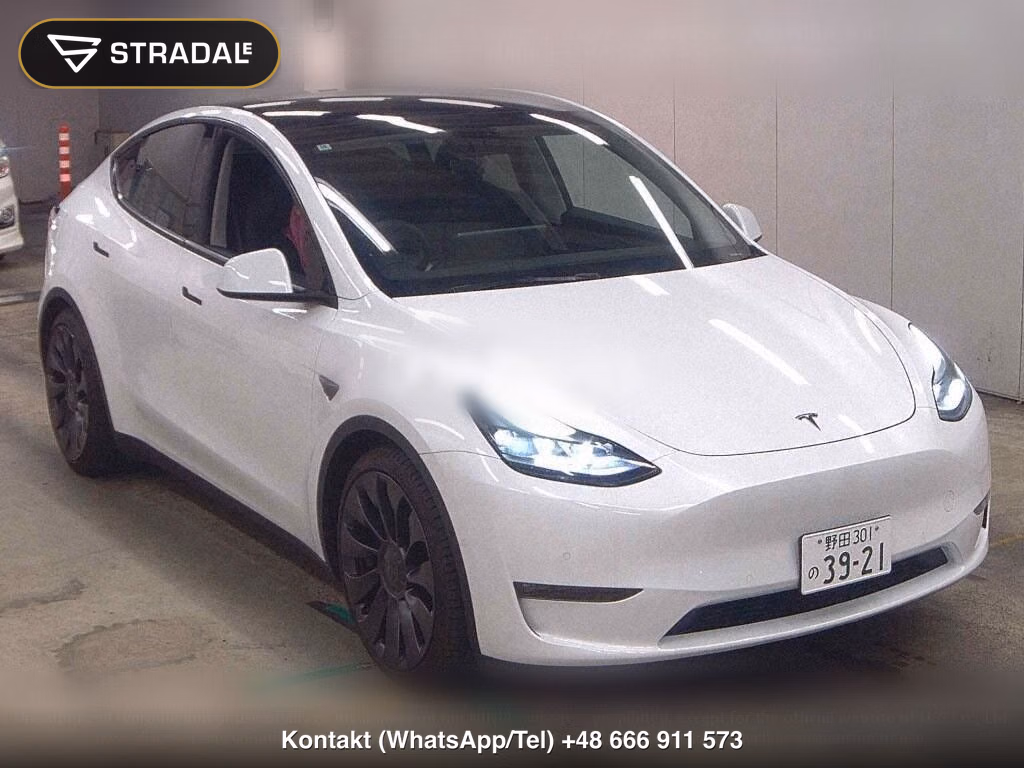 TESLA MODEL Y 4WD PERFORMANCE, miniaturka 2