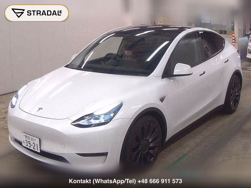 TESLA MODEL Y 4WD PERFORMANCE, miniaturka 5