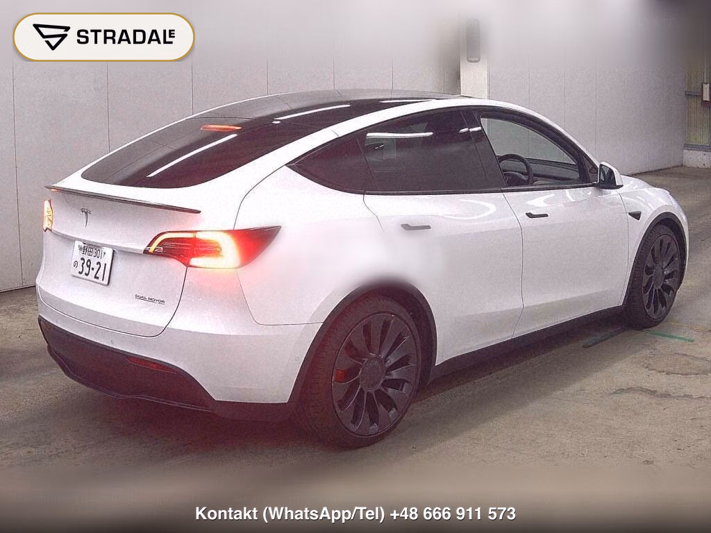 TESLA MODEL Y 4WD PERFORMANCE, miniaturka 6