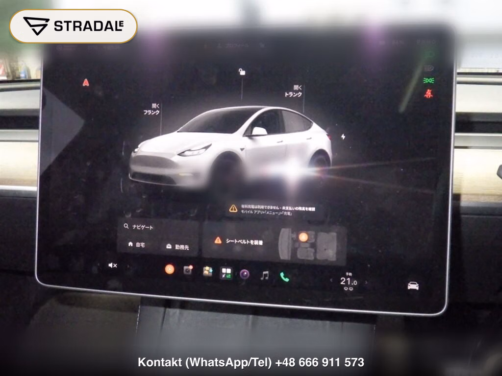 TESLA MODEL Y 4WD PERFORMANCE, miniaturka 7