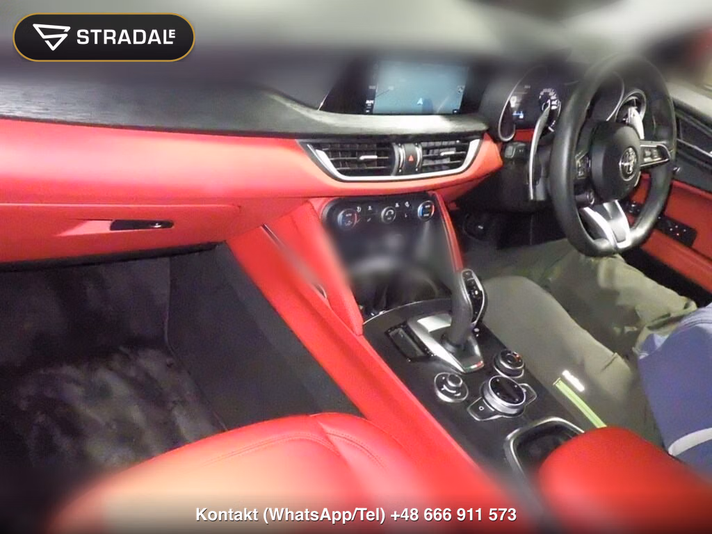 ALFA ROMEO STELVIO 4WD OTHERS, miniaturka 4