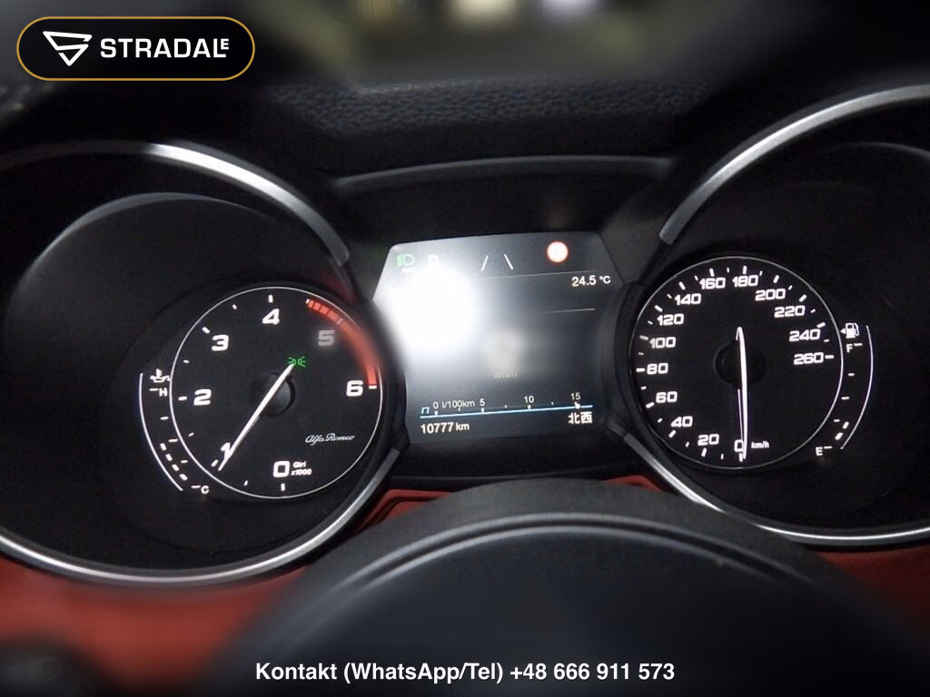 ALFA ROMEO STELVIO 4WD OTHERS, miniaturka 7
