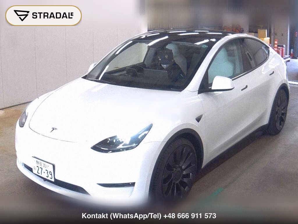 TESLA MODEL Y 4WD PERFORMANCE, miniaturka 5
