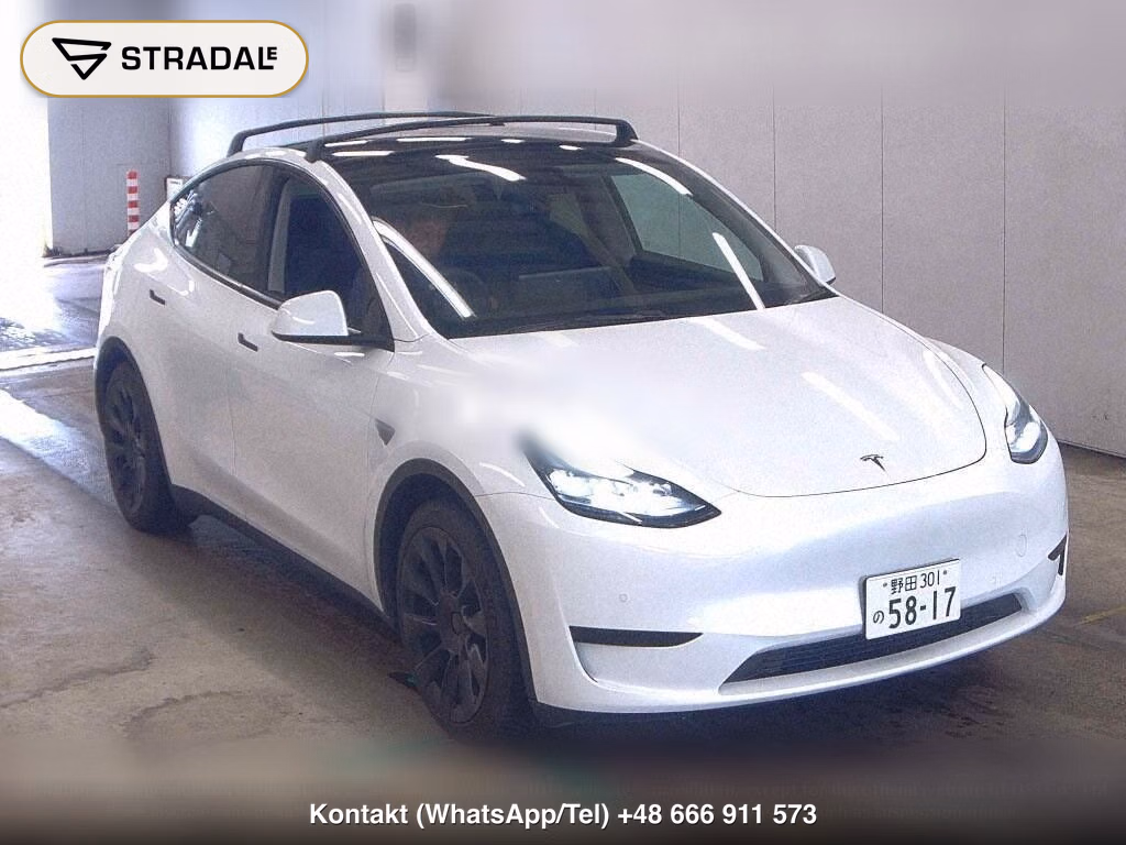 TESLA MODEL Y RWD, miniaturka 2