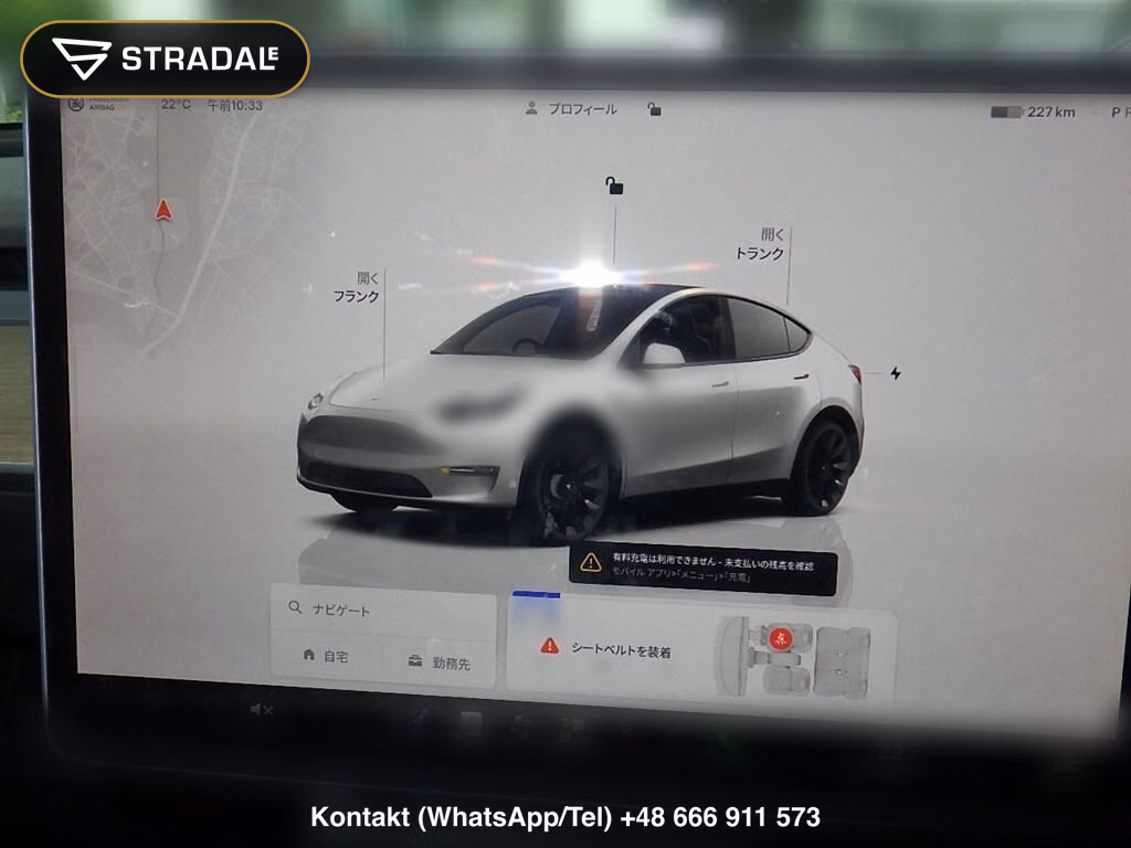 TESLA MODEL Y RWD, miniaturka 7