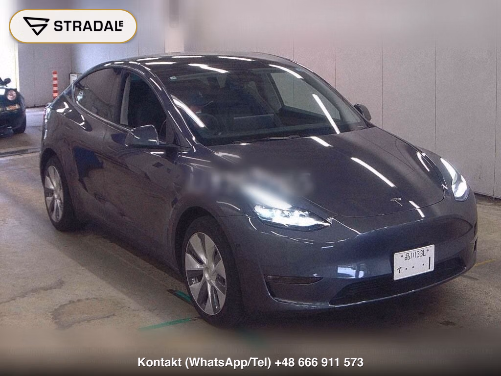 TESLA MODEL Y 4WD LONG RANGE, miniaturka 2