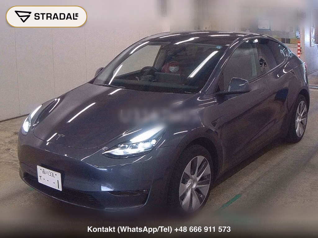 TESLA MODEL Y 4WD LONG RANGE, miniaturka 5
