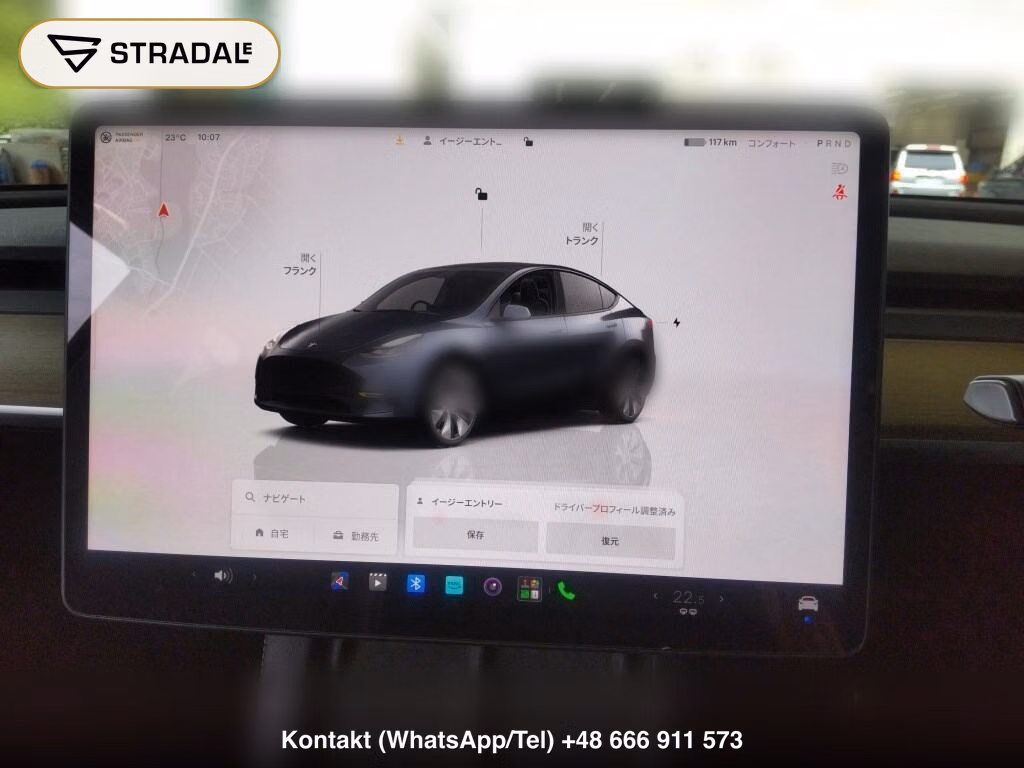 TESLA MODEL Y 4WD LONG RANGE, miniaturka 7