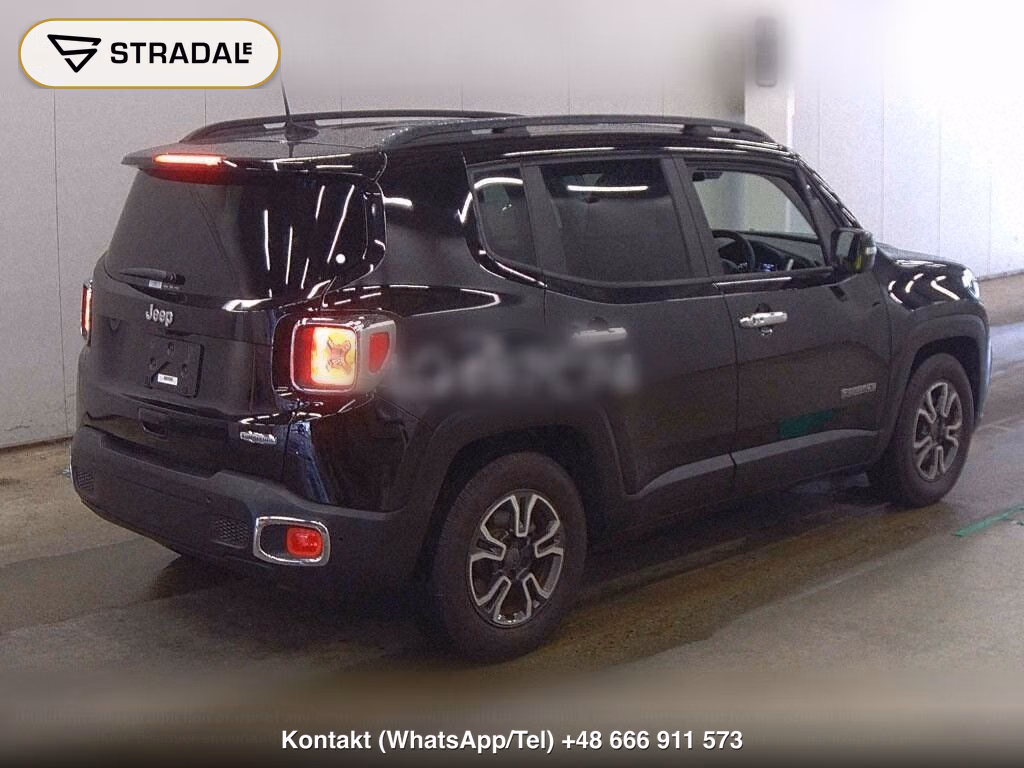 CHRYSLER JEEP JEEP RENEGADE LONGITUDE, miniaturka 6