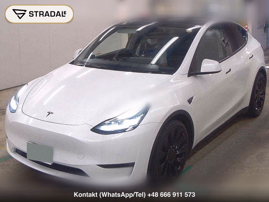 TESLA MODEL Y 4WD PERFORMANCE, miniaturka 5