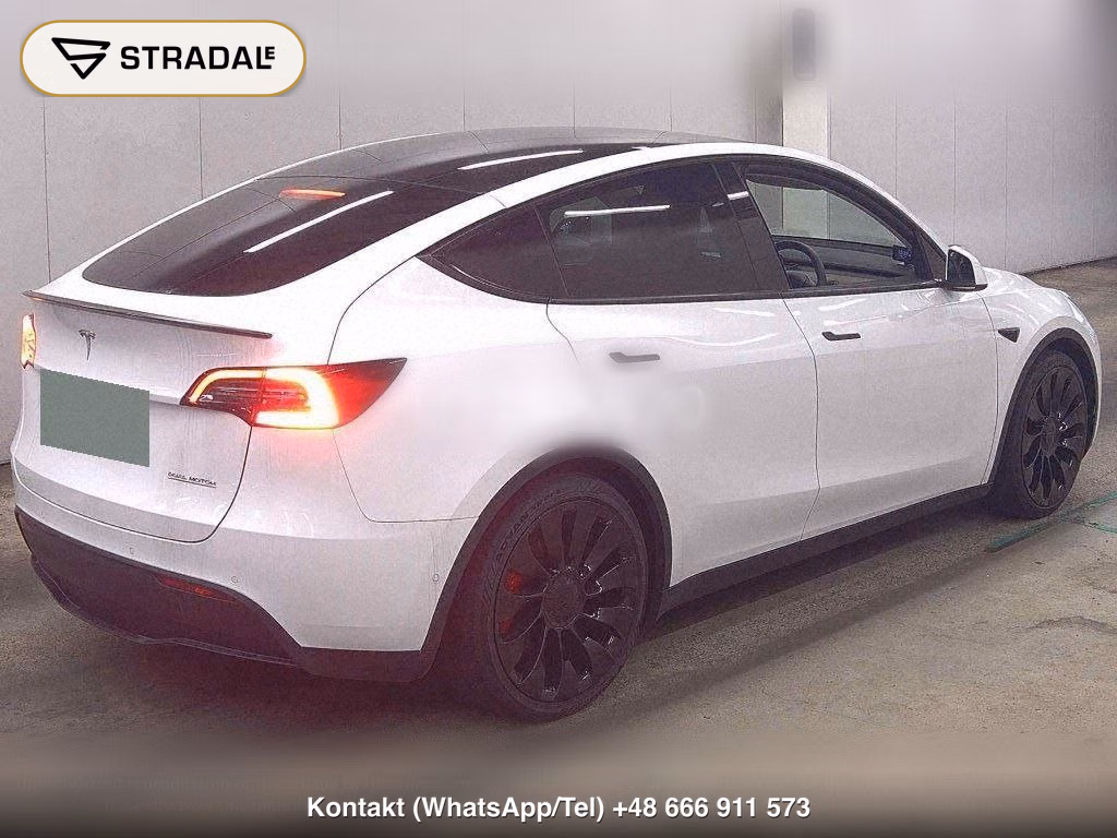 TESLA MODEL Y 4WD PERFORMANCE, miniaturka 6