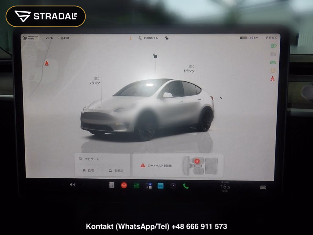 TESLA MODEL Y 4WD PERFORMANCE, miniaturka 7