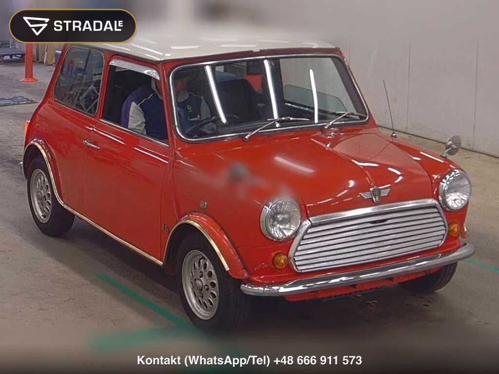 ROVER MINI 2D OTHERS 1993, aukcja z Japonii, zdjęcie 1
