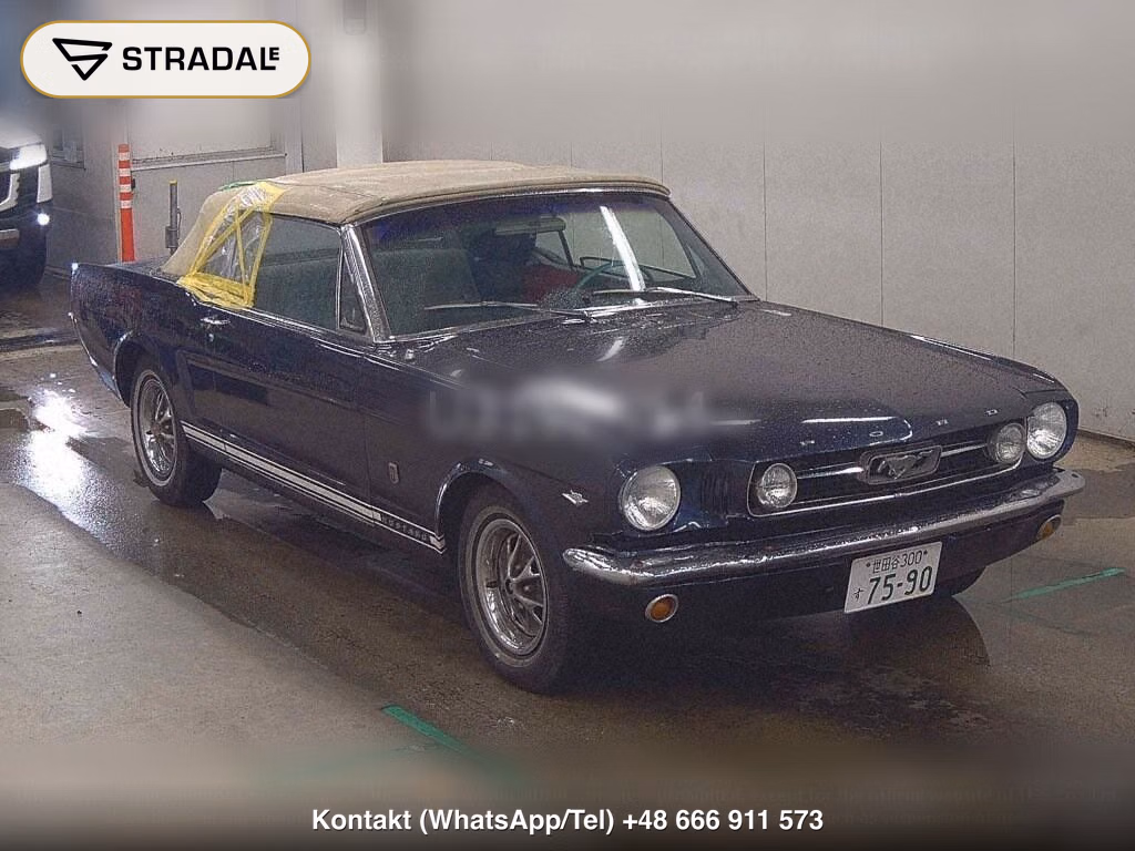 FORD MUSTANG OP OTHERS, miniaturka 2