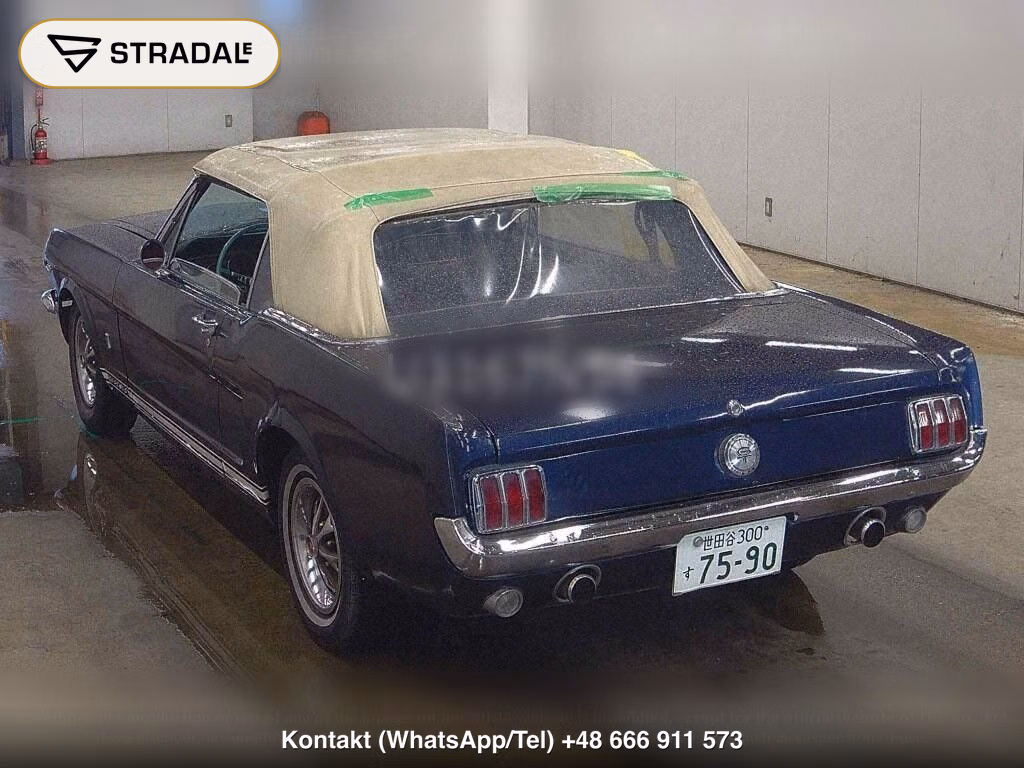 FORD MUSTANG OP OTHERS, miniaturka 3