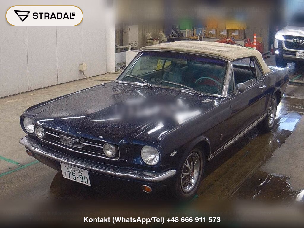 FORD MUSTANG OP OTHERS, miniaturka 5