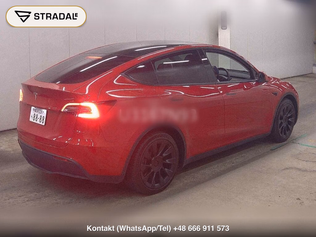TESLA MODEL Y RWD, miniaturka 6
