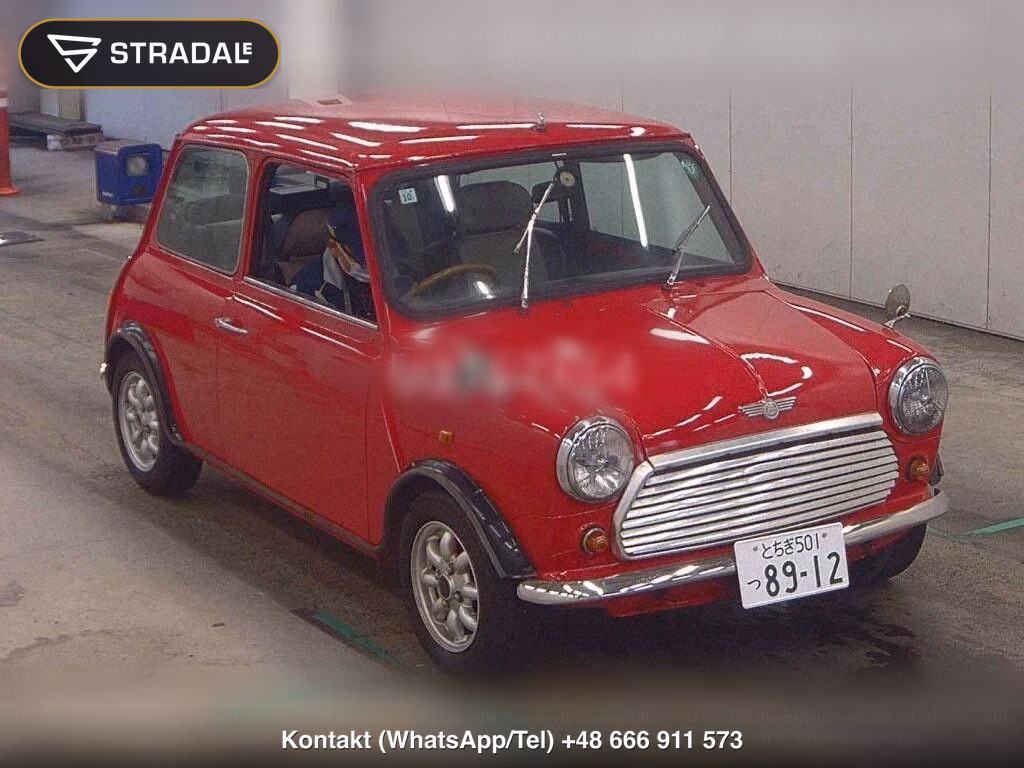 ROVER MINI 2D, miniaturka 2