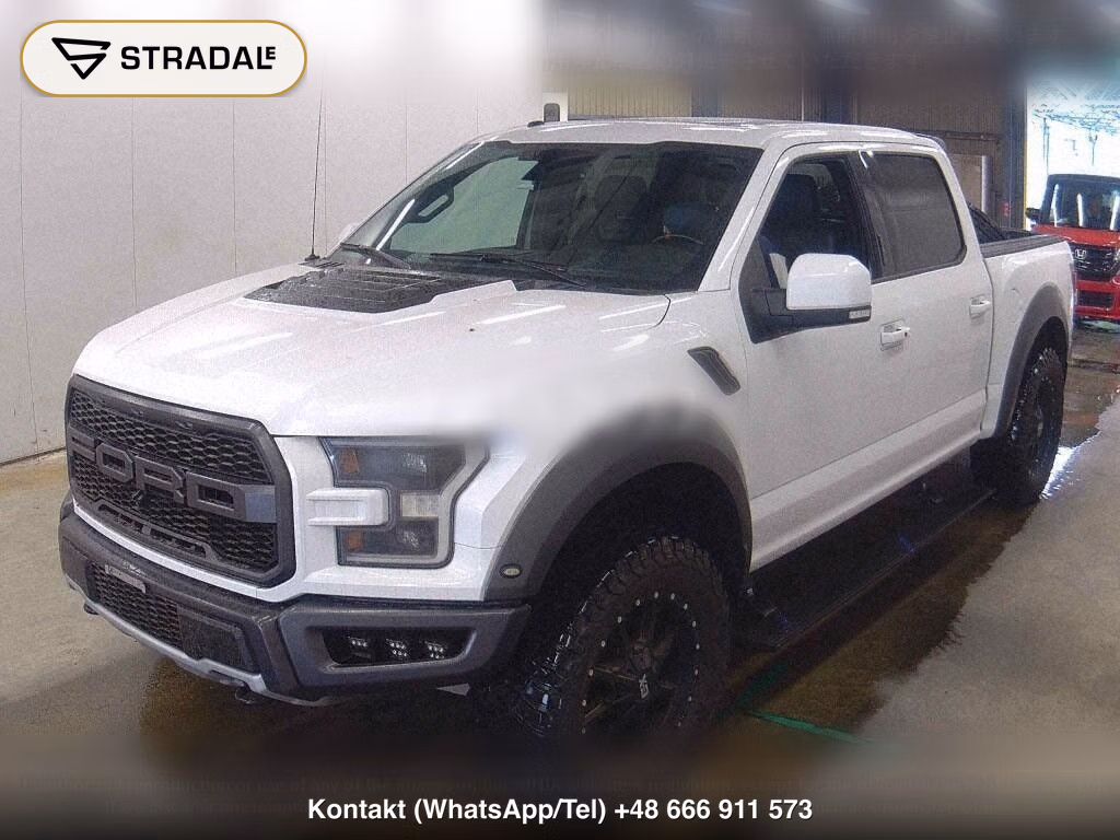 FORD F-150 4D, miniaturka 5