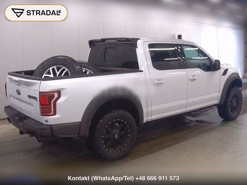 FORD F-150 4D, miniaturka 6
