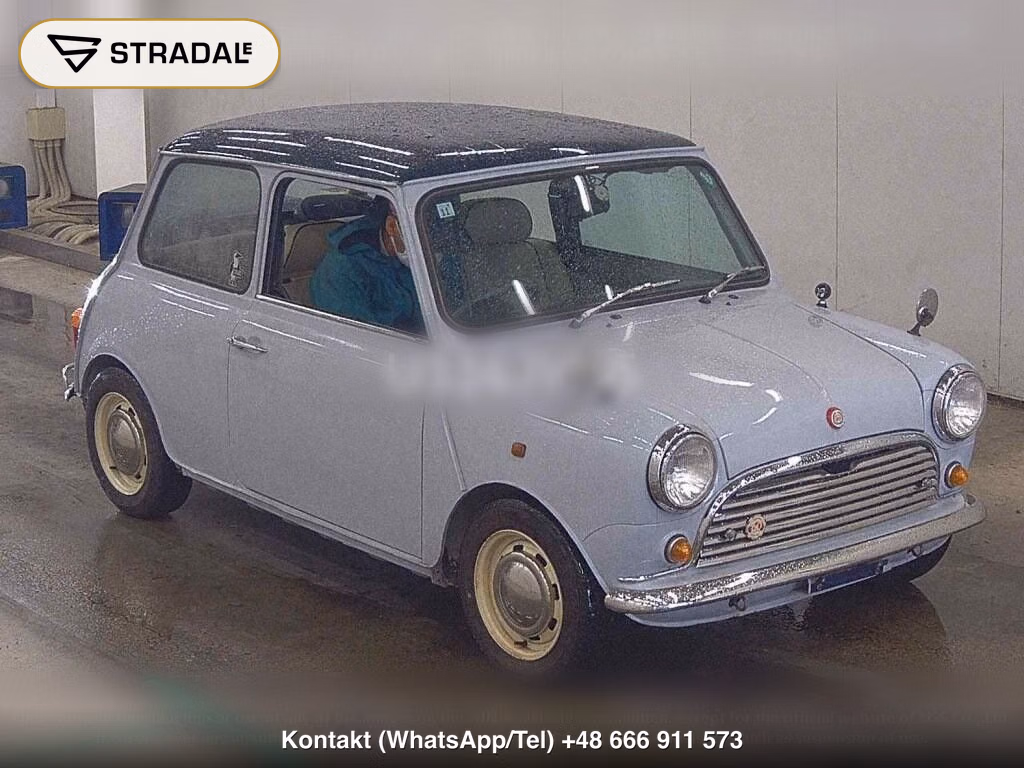 ROVER MINI 2D, miniaturka 2