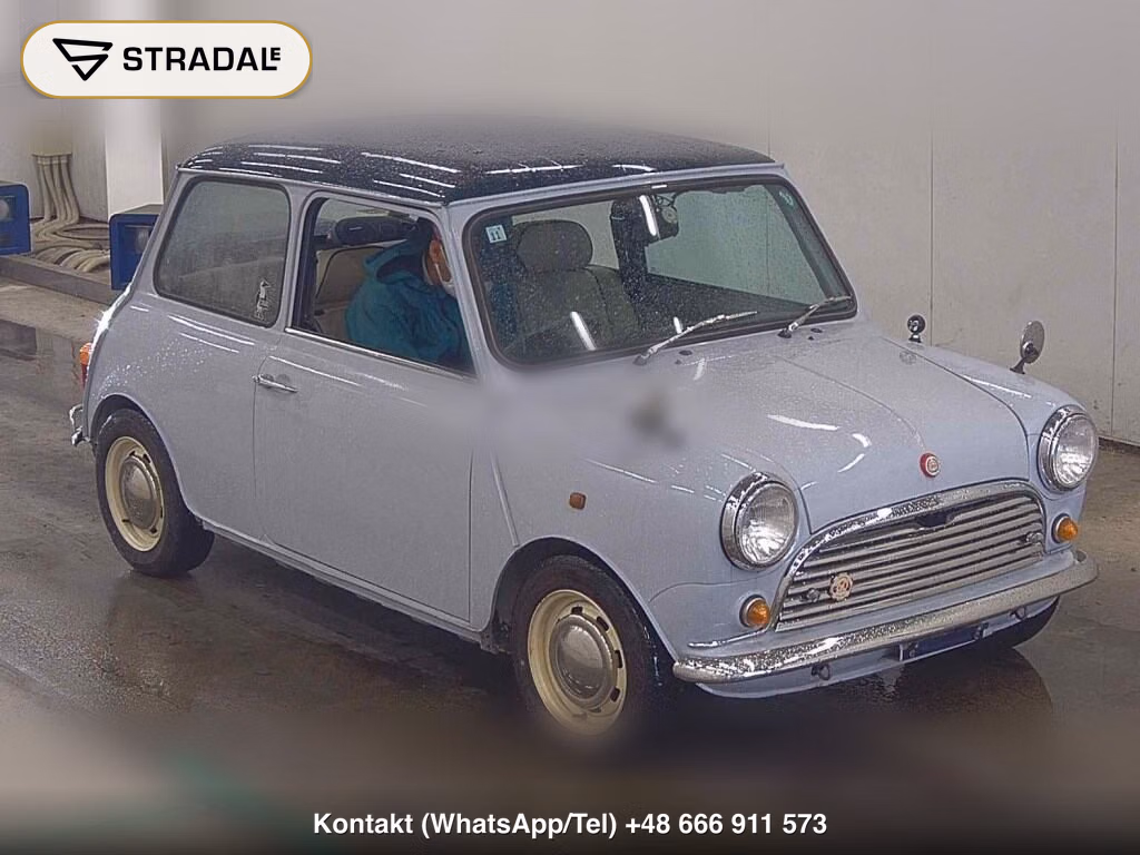 ROVER MINI 2D 1994, aukcja z Japonii, zdjęcie 1