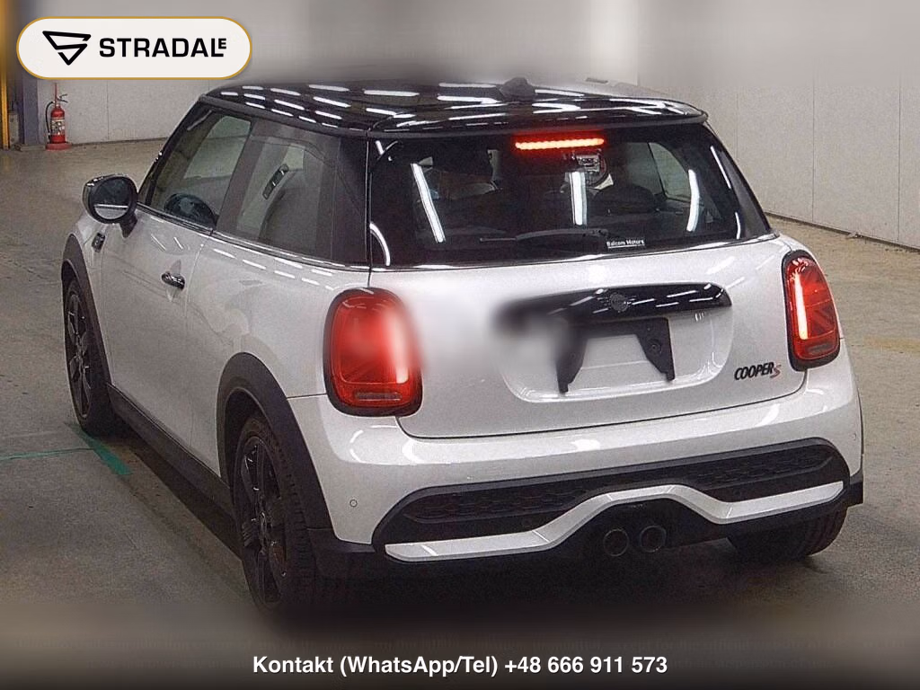 MINI MINI 3D COOPER S, miniaturka 3