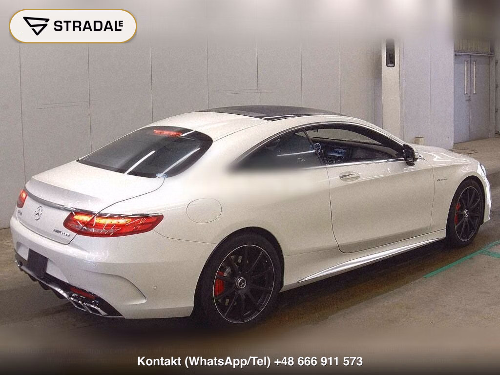 MERCEDES BENZ S-CLASS CP 4WD OTHERS, miniaturka 6