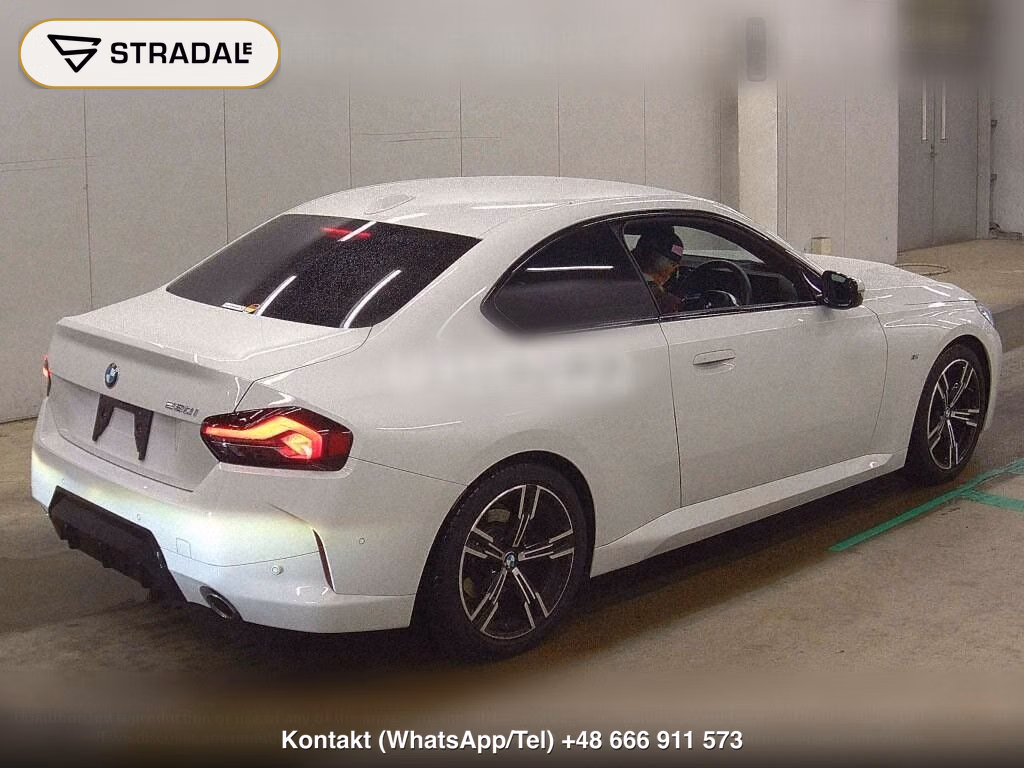 BMW 2 SERIES CP 220I COUPE M-SPORT, miniaturka 6