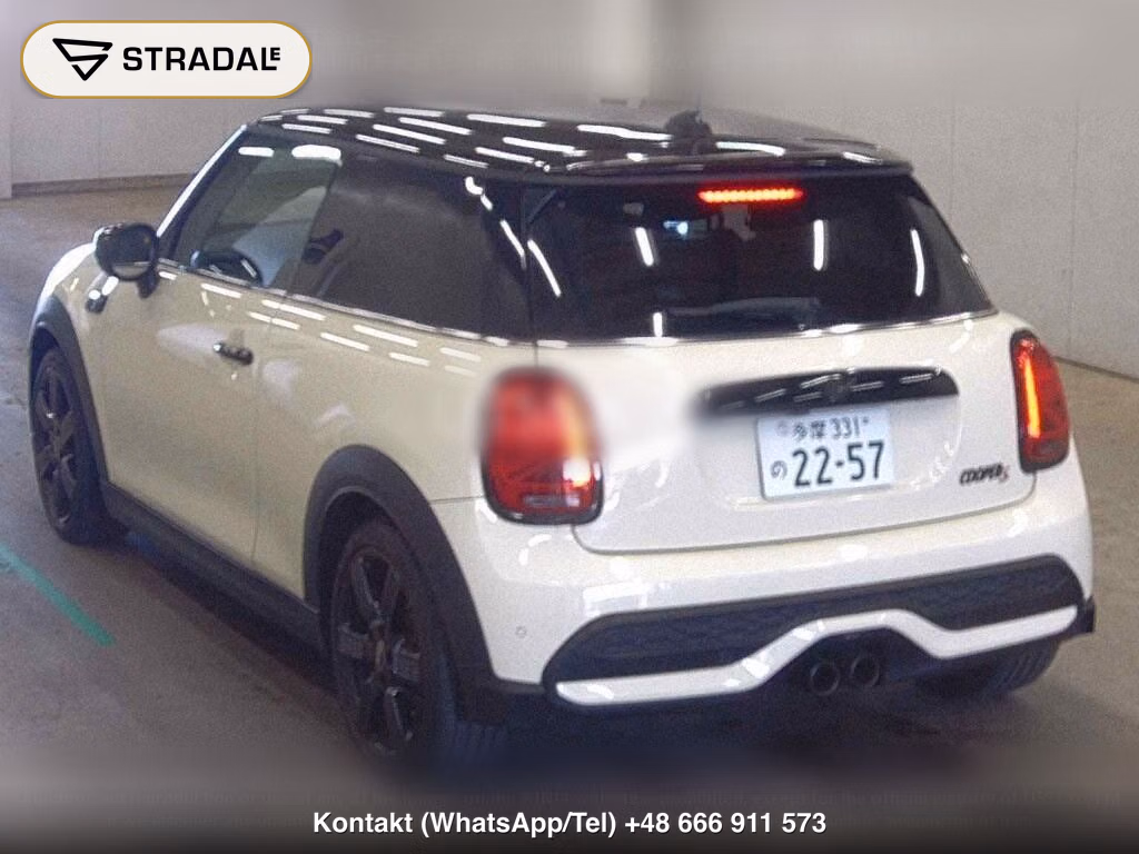 MINI MINI 3D COOPER S, miniaturka 3